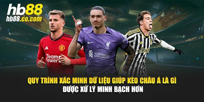 Quy trình xác minh dữ liệu giúp kèo Châu Á là gì được xử lý minh bạch hơn